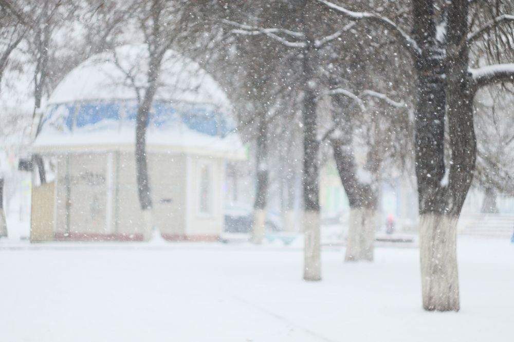 Photograph by Елена Квасова