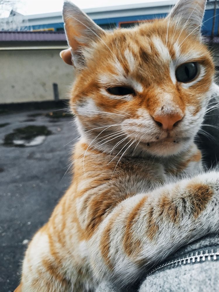 Photograph by Irina Grass