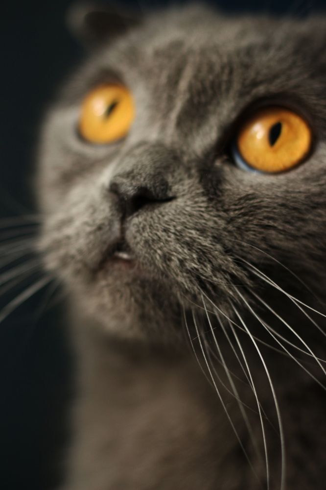 Photograph by Valentina Komogorova