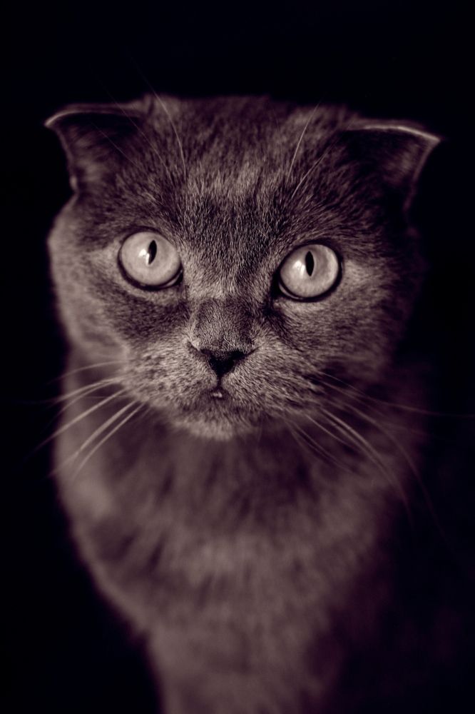 Photograph by Valentina Komogorova