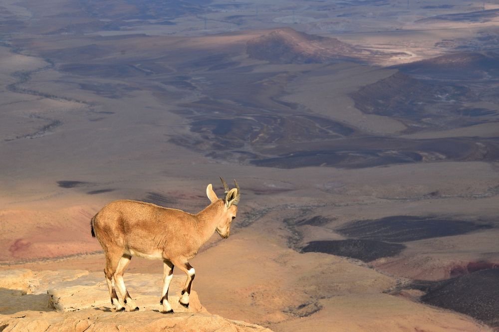 Photograph by Анатолий Хальман