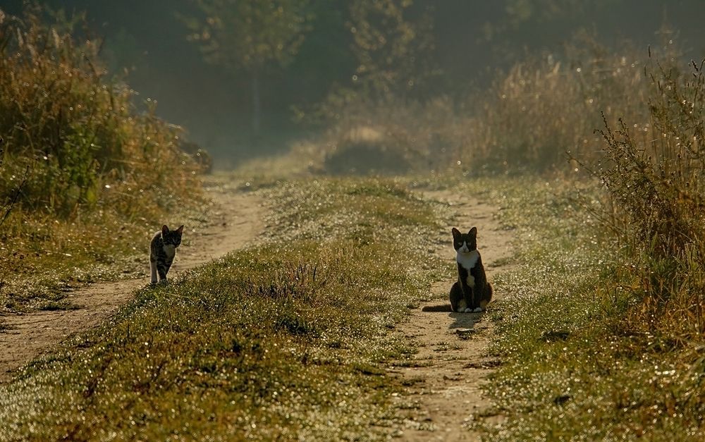 Photograph by Галина Лубянникова