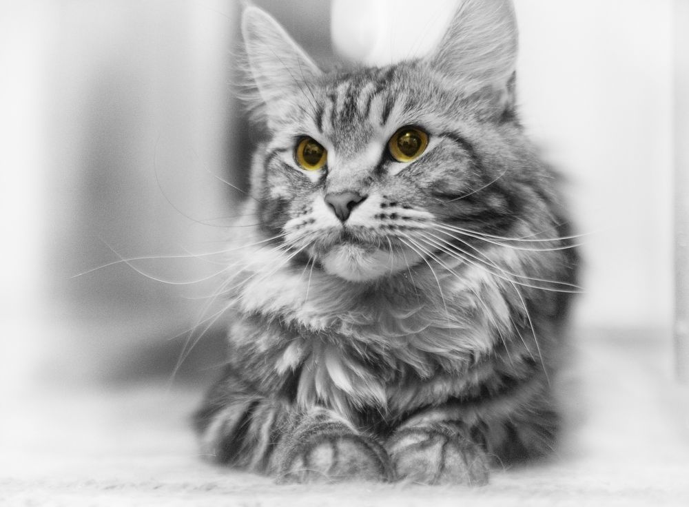 Photograph by Alex Dyldin