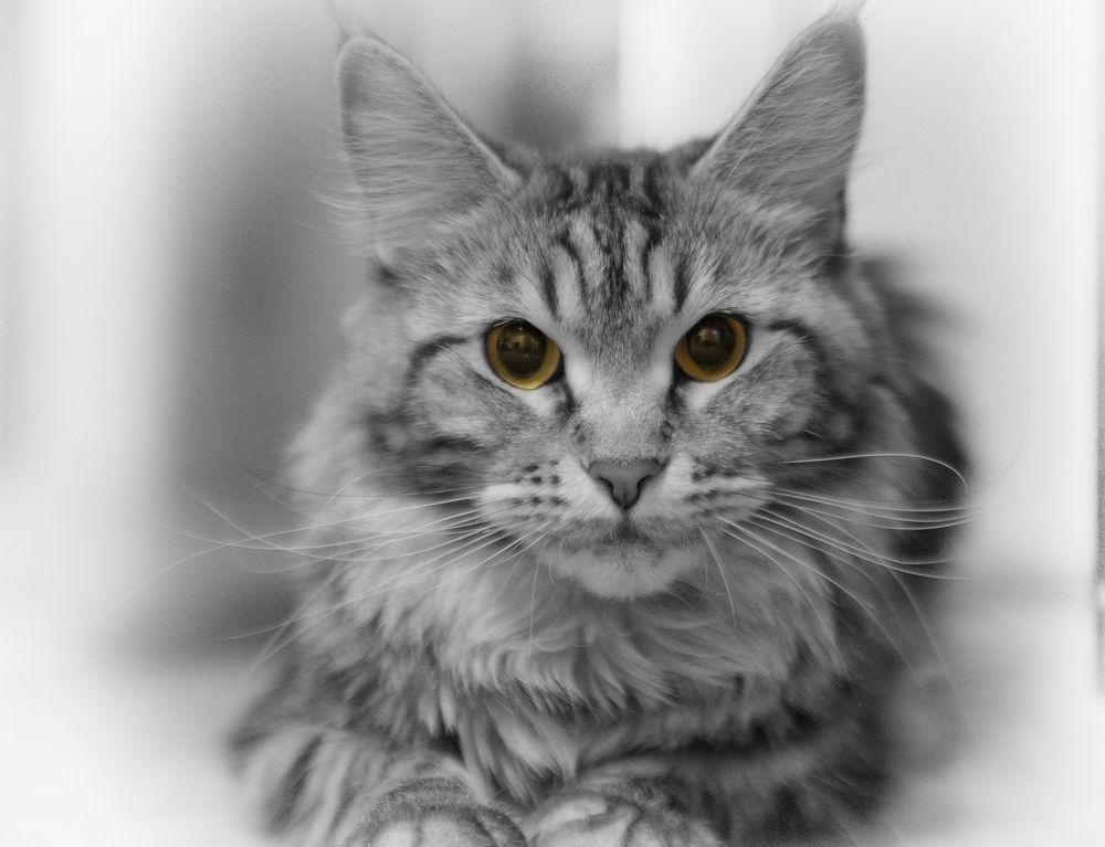 Photograph by Alex Dyldin