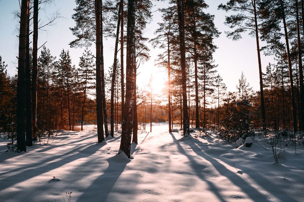 Photograph by Сергей Доржиев