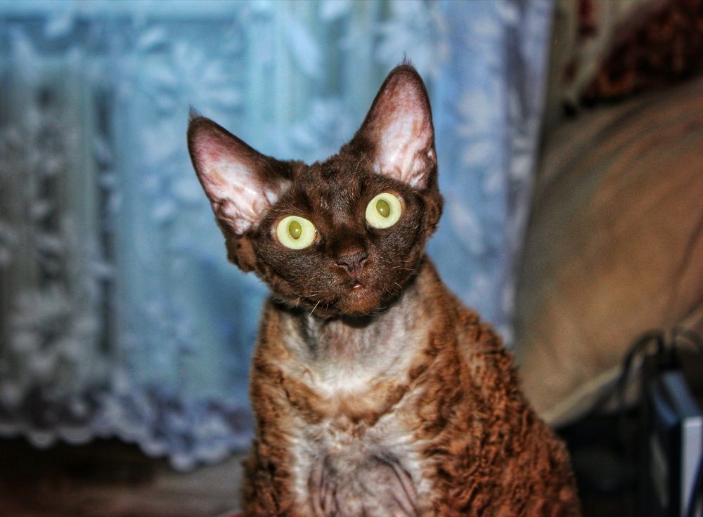 Photograph by Владимир Сушкин