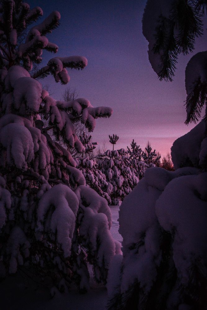 Photograph by Сергей Доржиев