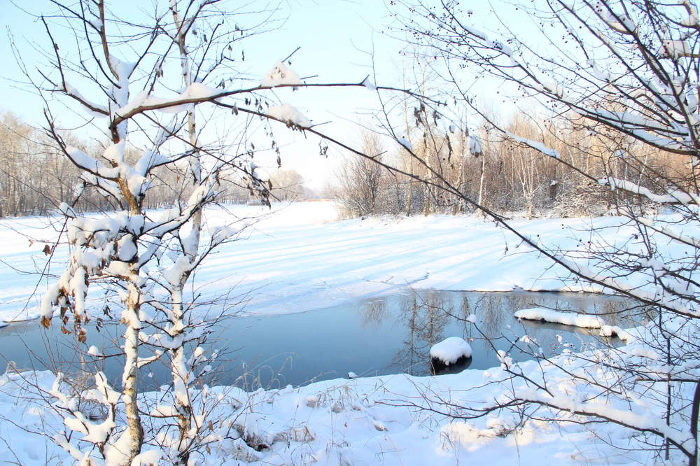 Photograph by Алина