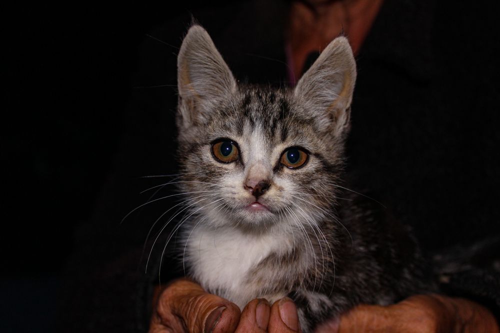 Photograph by Ирина Дмитриенко