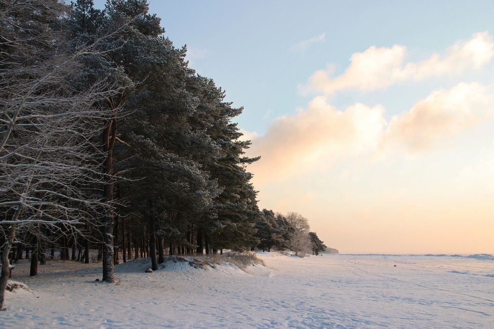 Photograph by Юрий Чистяков