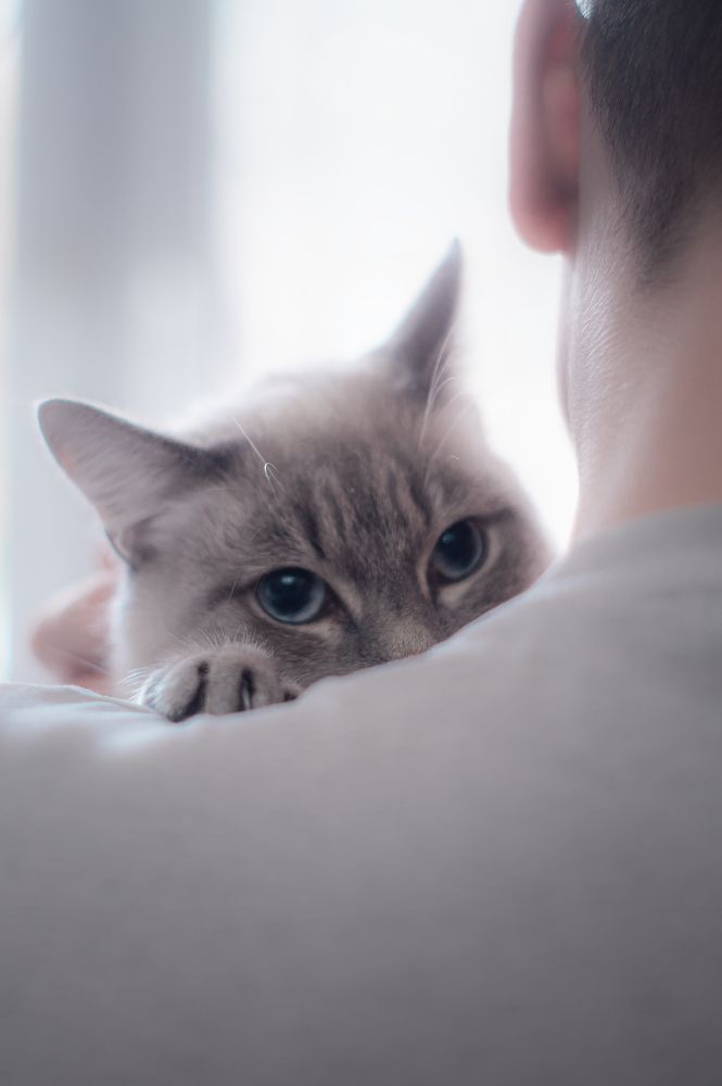 Преданность