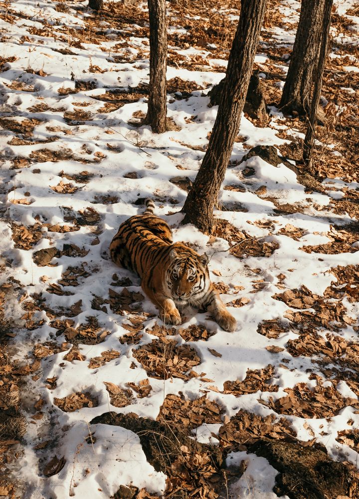 Photograph by Галина Лындова