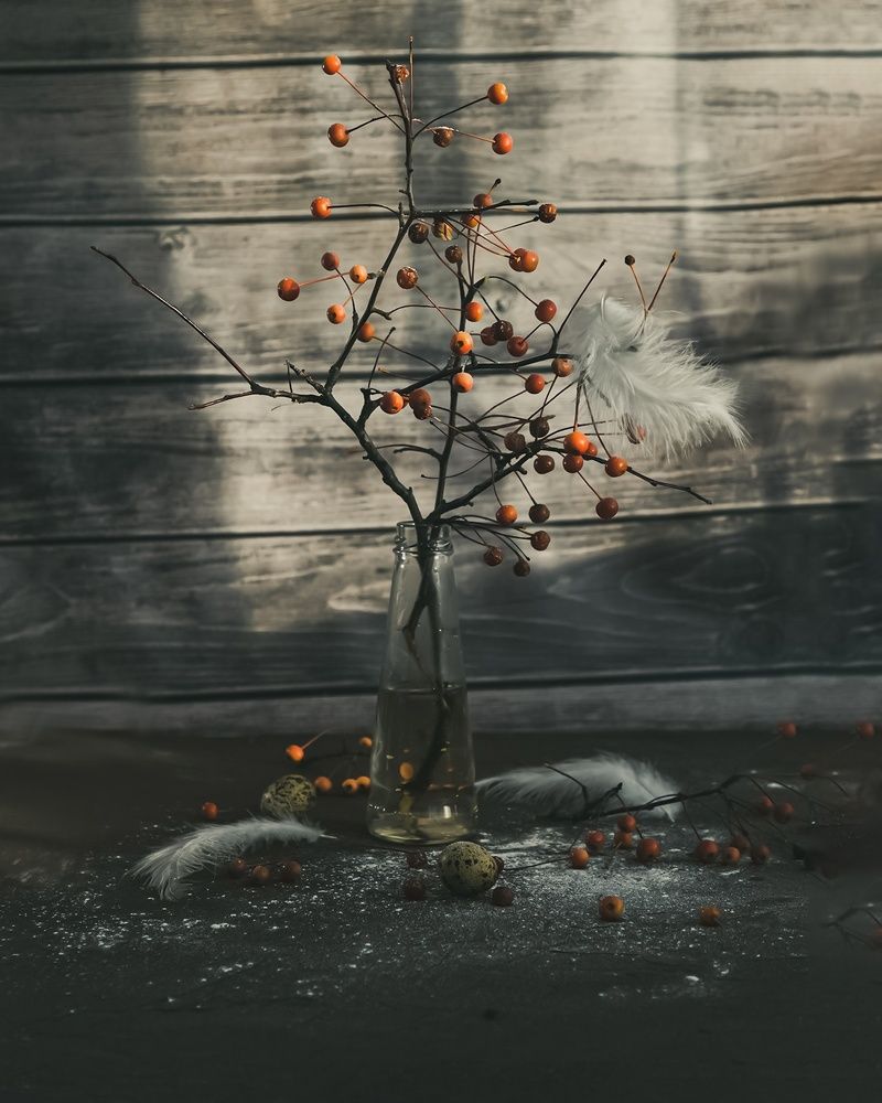 Photograph by  Анастасия Тимарг