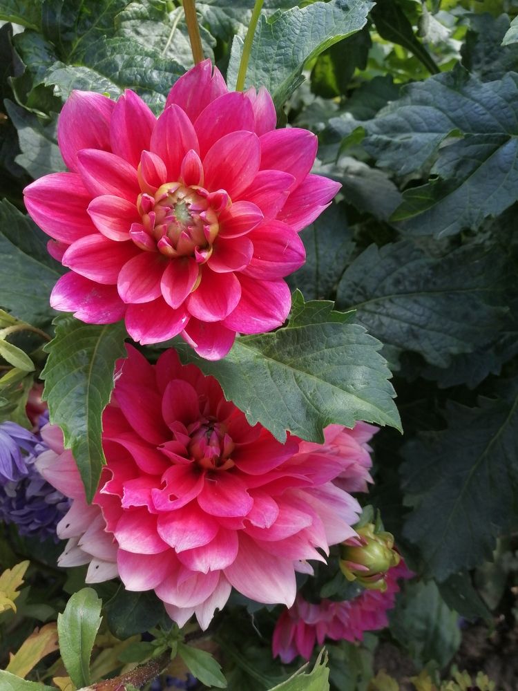 Photograph by Вячеслав Огурцов