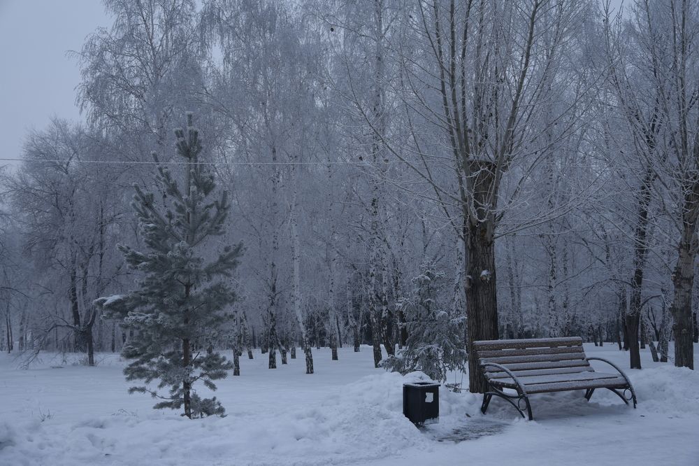 Photograph by Приходько Дмитрий