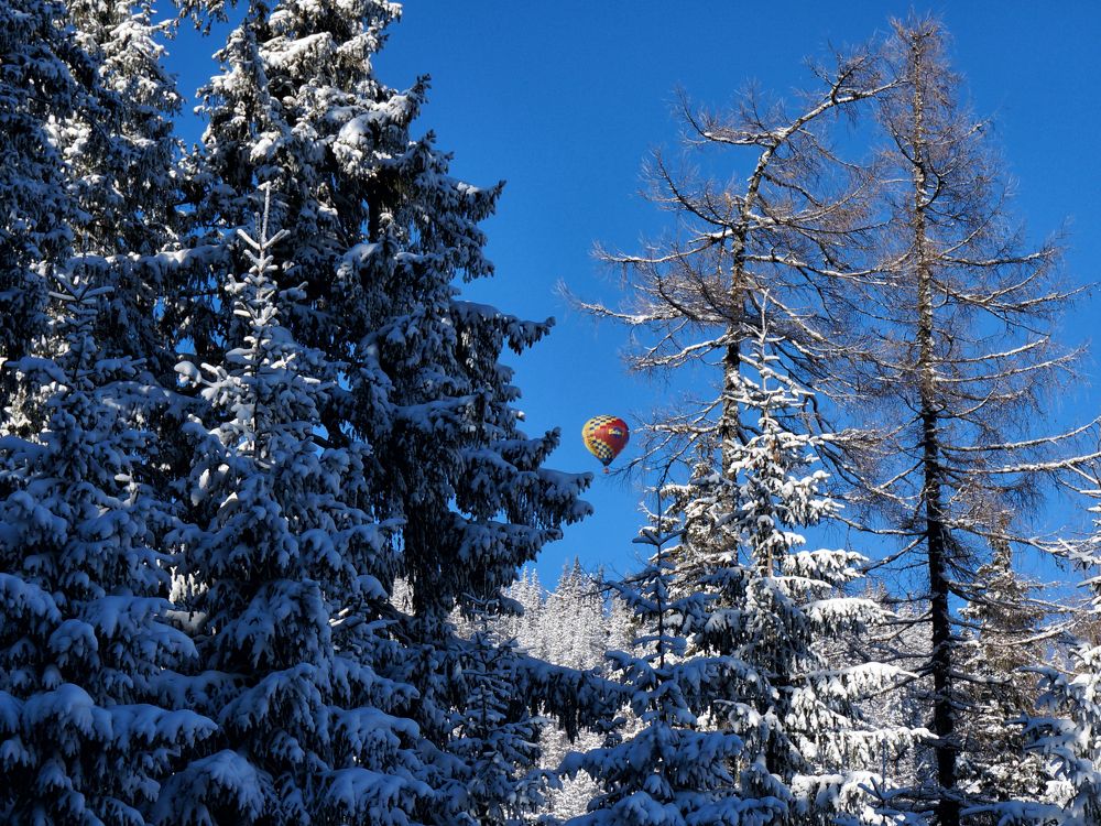 Photograph by Михаил Янкин