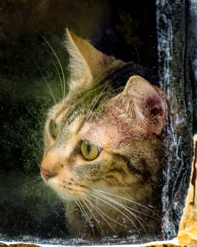 Photograph by Ángel J. sánchez