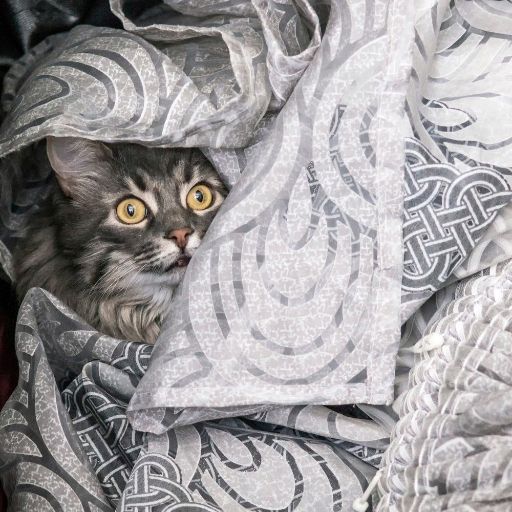 Photograph by Вадим Голосницкий