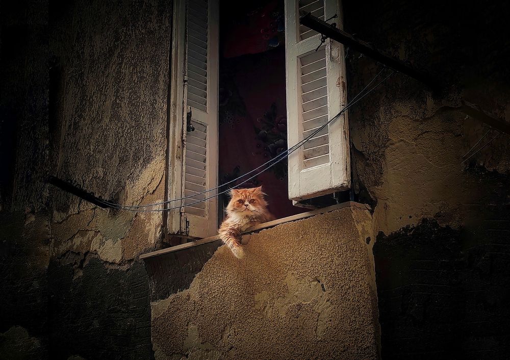 Photograph by Heba khaled