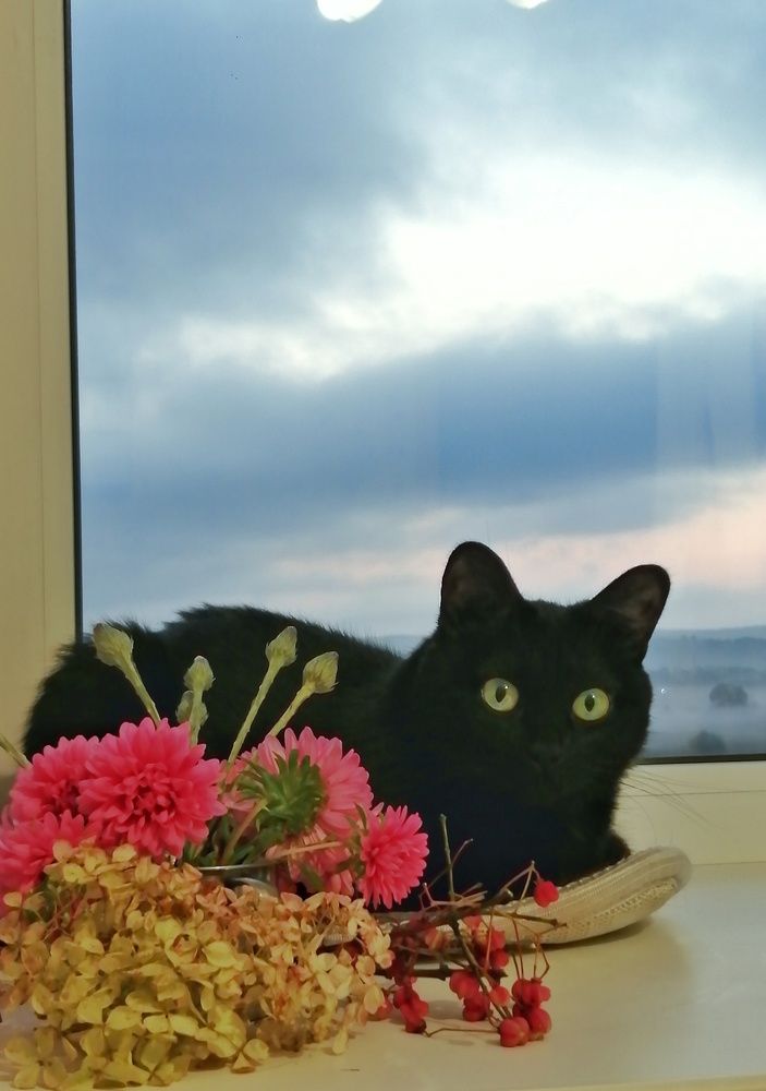 Фотография автора НАТАЛЬЯ СЕВЕР