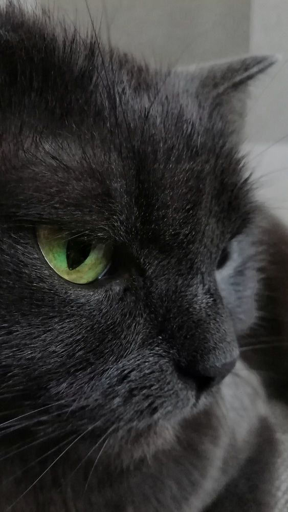 Photograph by Екатерина Чижевская