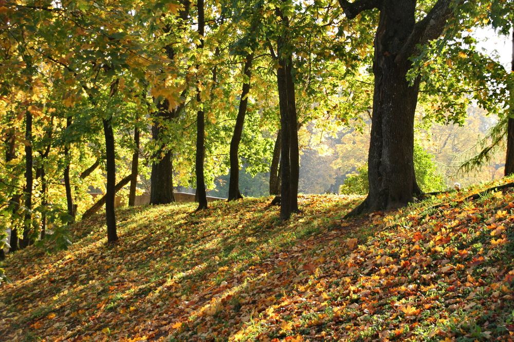 Photograph by Юрий Чистяков