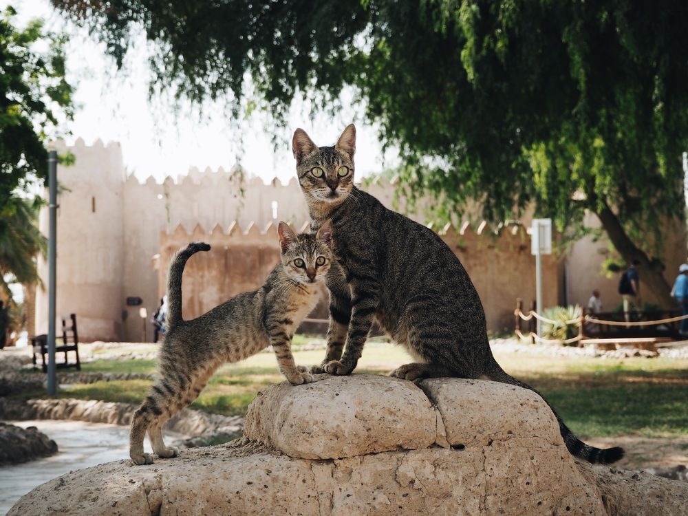 Photograph by Ольга Крамер