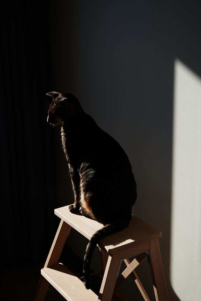 Photograph by Ольга Крамер