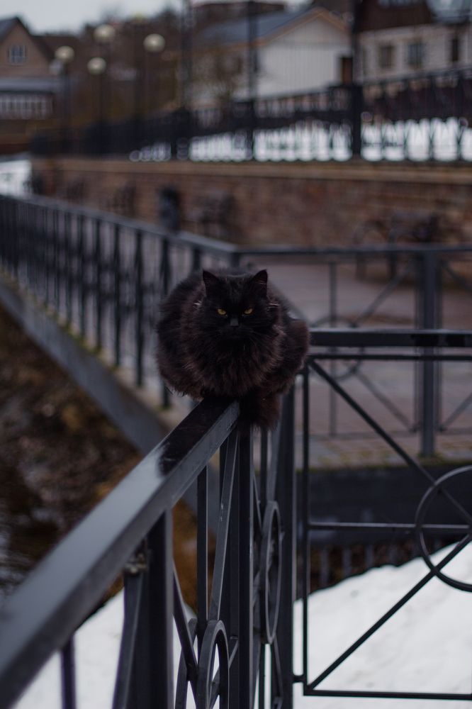 Photograph by Anna Dubinina