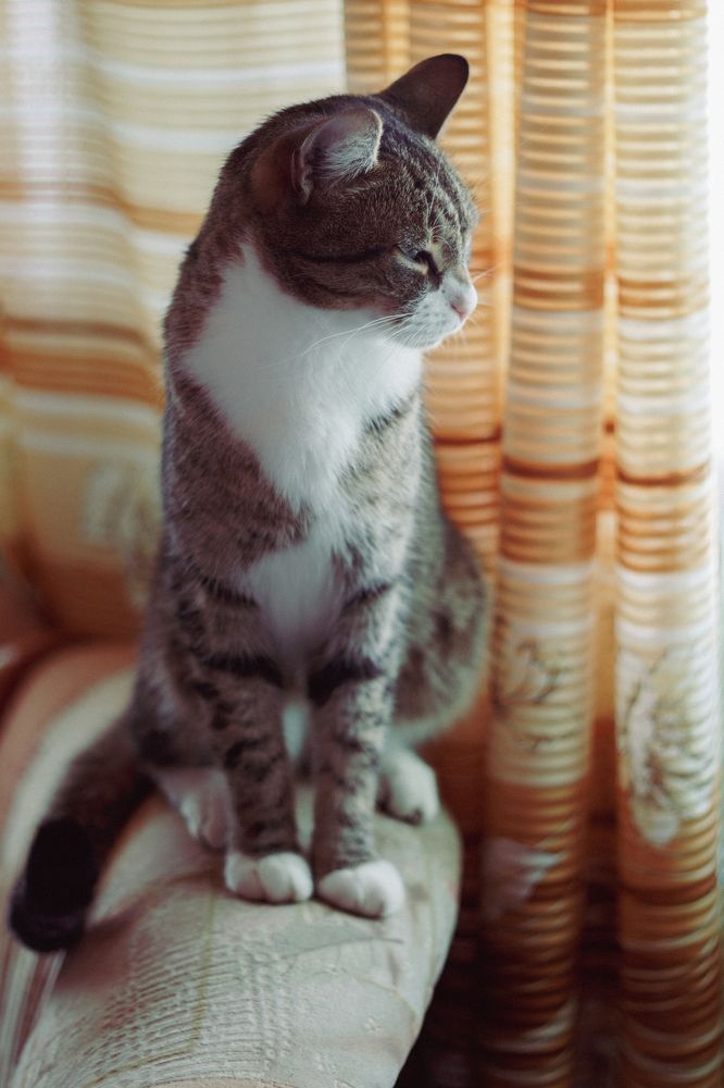 Photograph by Anna Dubinina