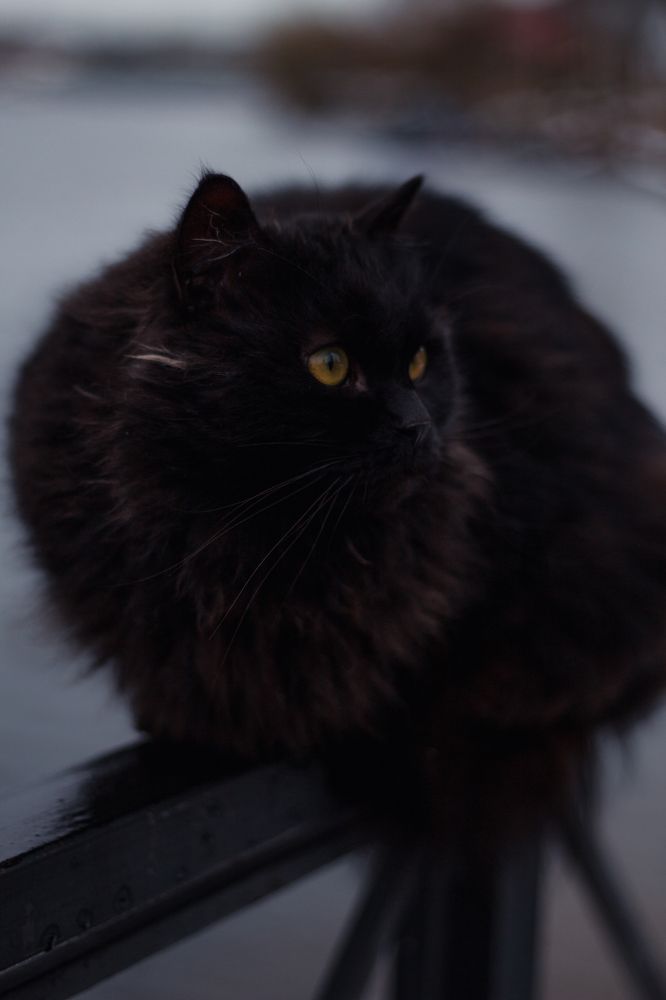 Photograph by Anna Dubinina