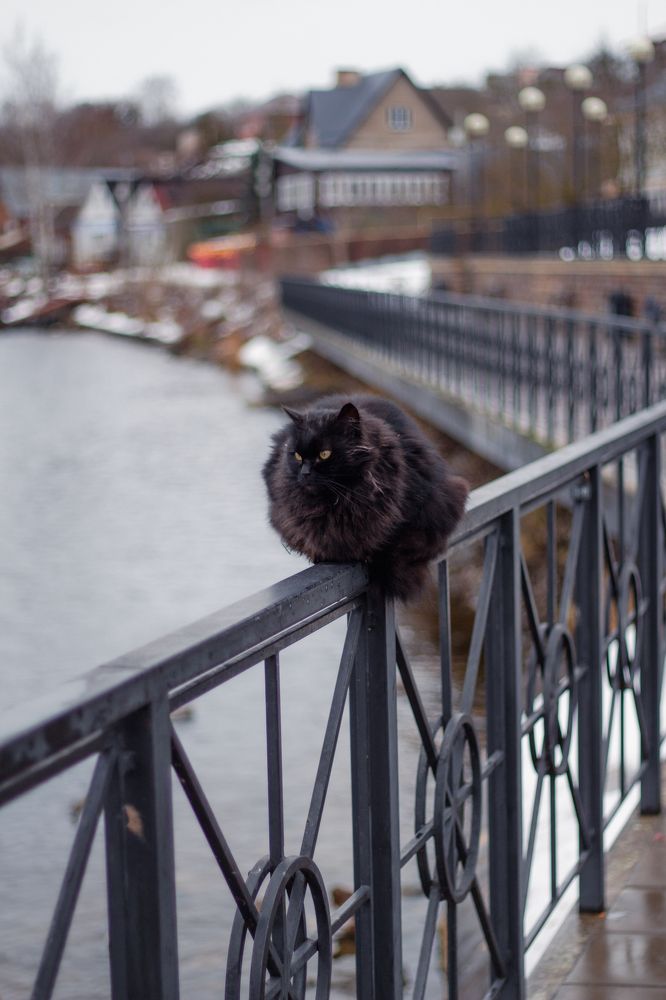 Photograph by Anna Dubinina