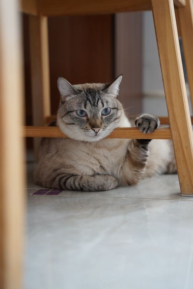 Photograph by Мария Акимова