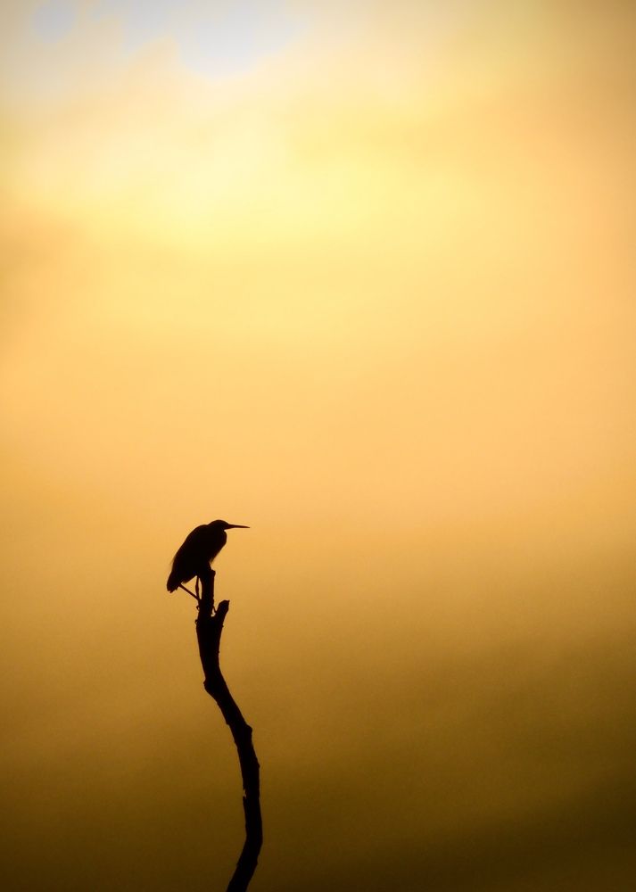 Photograph by sarah siew