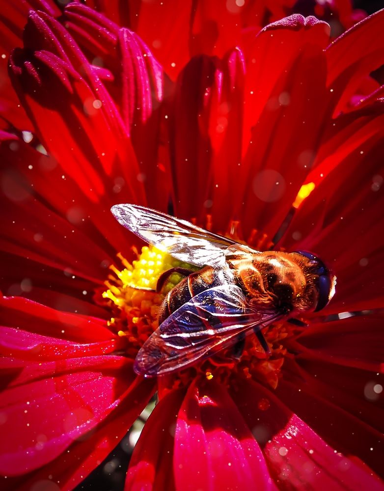 Photograph by Мария Цепилова