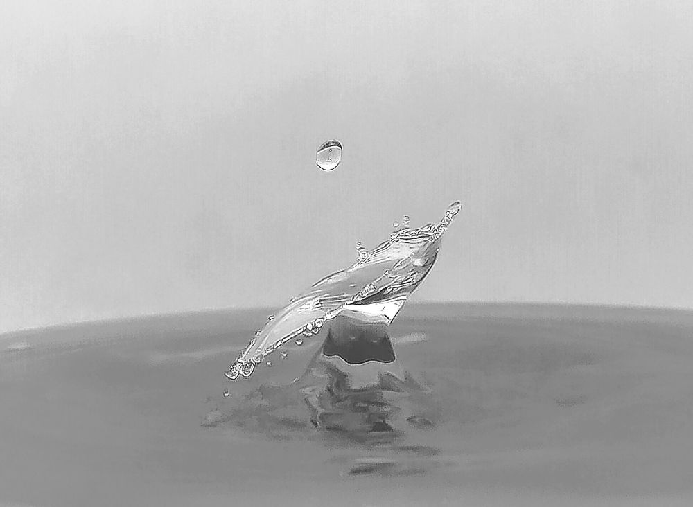 Photograph by Silvia Marcos