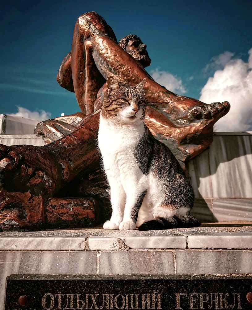 Photograph by Мария Цепилова