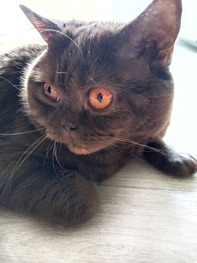 Photograph by Ирина