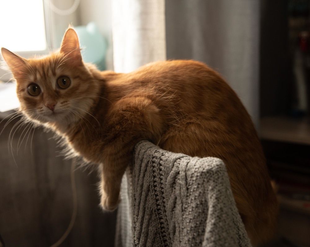 Photograph by Наталья Каргина