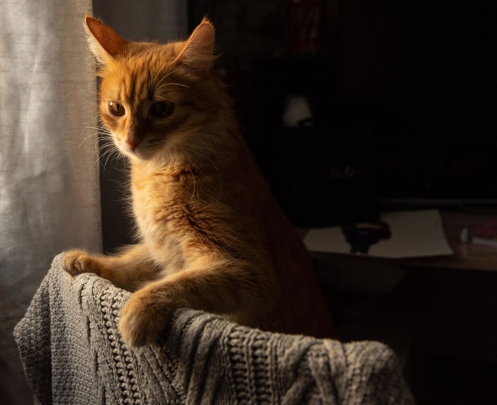 Photograph by Наталья Каргина