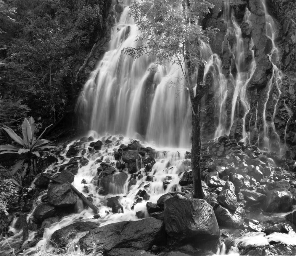 Photograph by Silvia Marcos