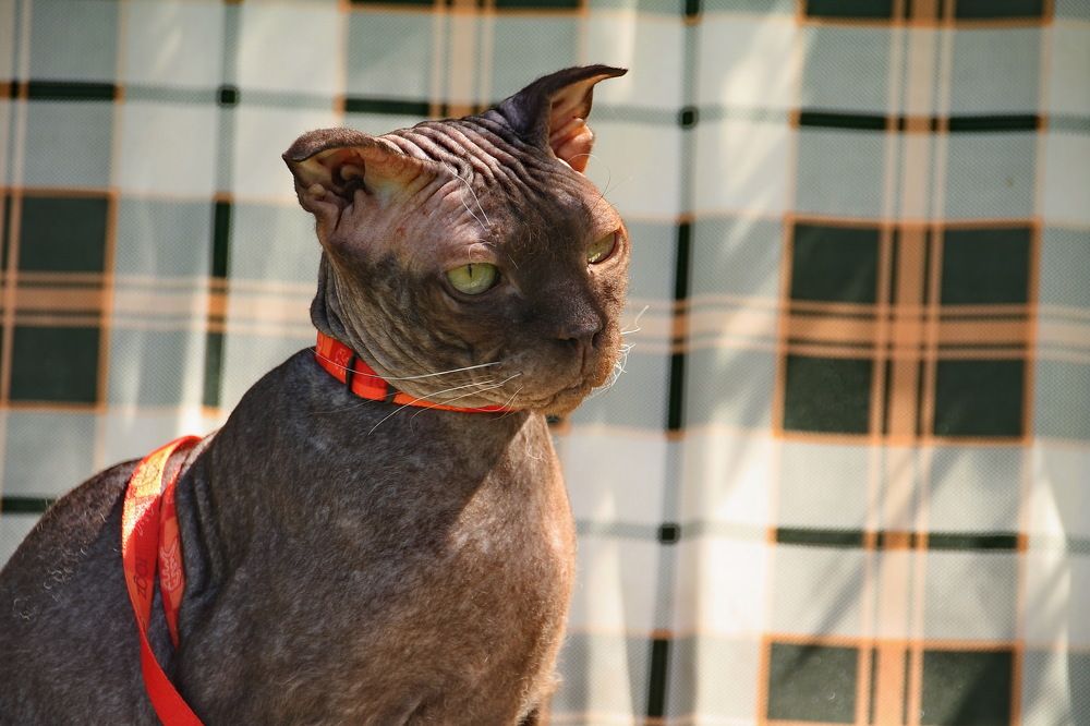 Photograph by Юрий Чистяков