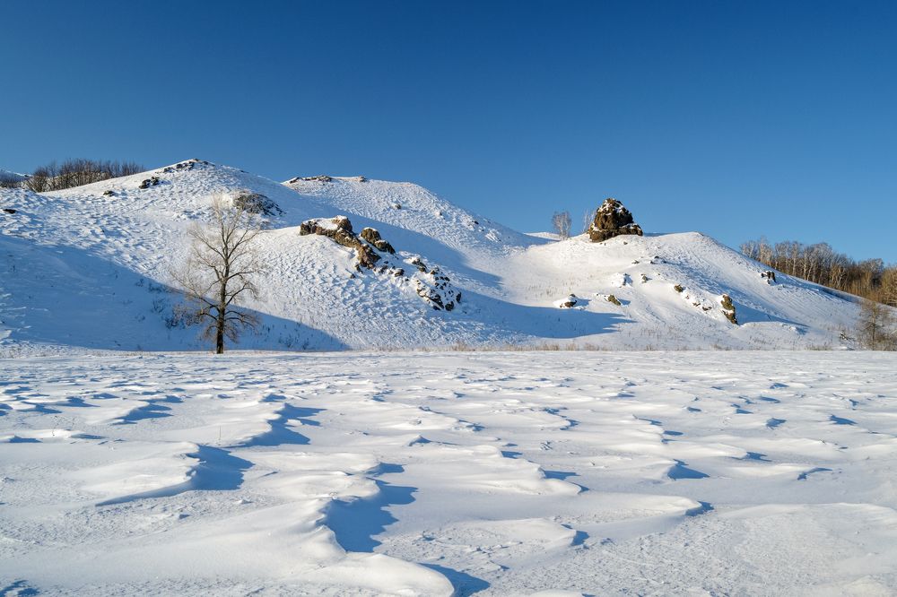 Photograph by Vasilyev Andrey