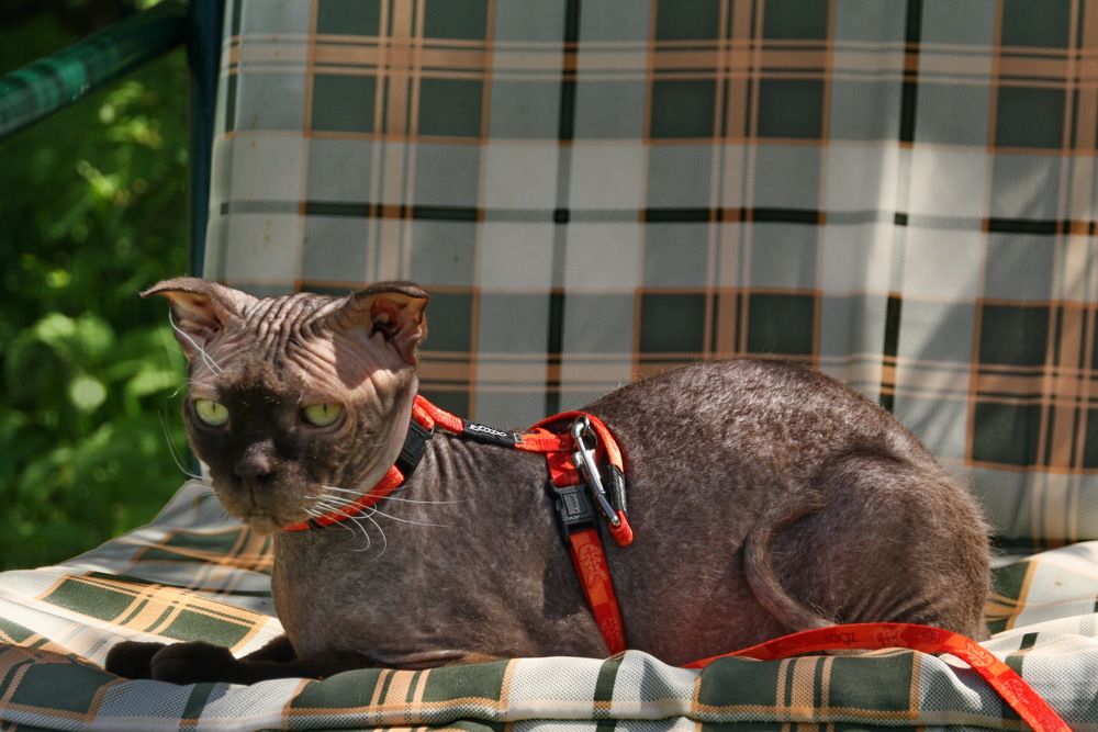 Photograph by Юрий Чистяков