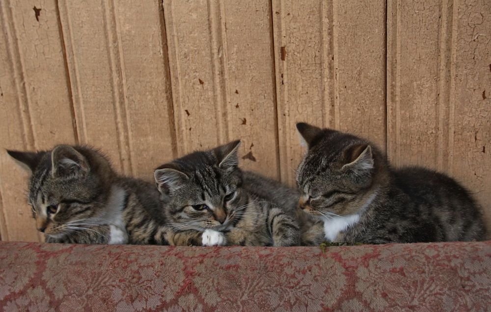 Photograph by Юрий Чистяков