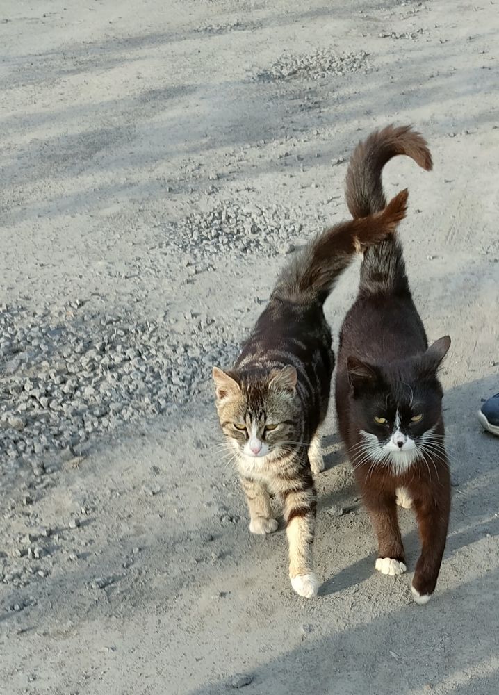 Фотография автора Светлана Смирнова