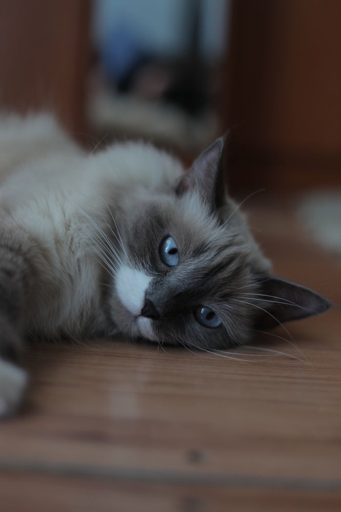 Photograph by Анастасия Кот