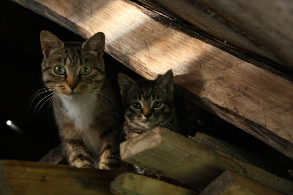 Photograph by Юрий Чистяков