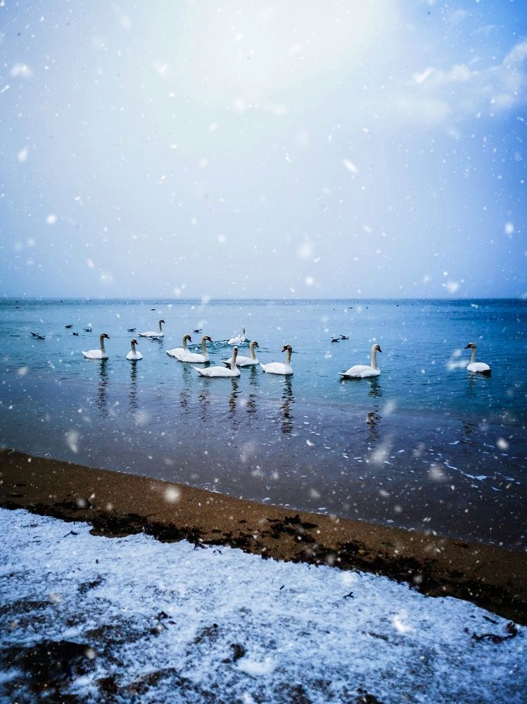 Photograph by Мария Цепилова