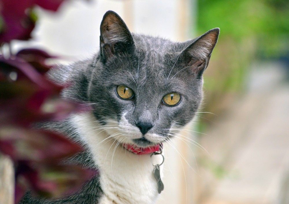 Photograph by Andre Nunes